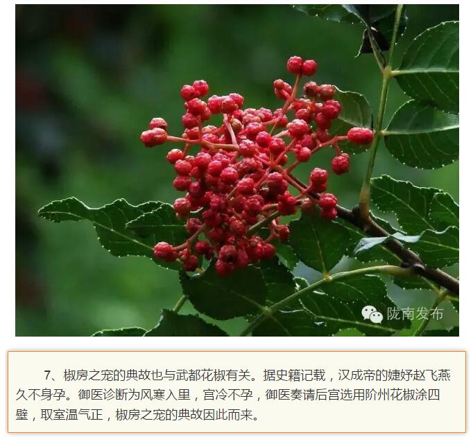 蘭渝鐵路最早由孫中山先生提出？在隴南，你不知道的事兒還有……