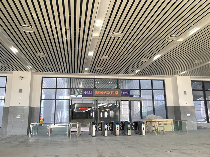 全國、省市政協(xié)委員體驗蘭渝鐵路、視察階州廣場