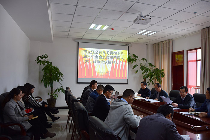 市龍江公司召開全體員工大會，專題傳達學(xué)習(xí)上級會議精神