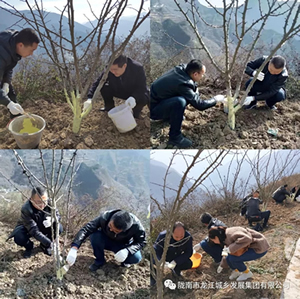 市龍江集團在文縣橋頭鎮(zhèn)安子坡村開展“解難題、辦實事、送溫暖”活動